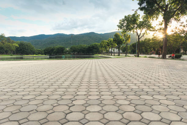 Best Driveway Repair Near Me  in Wooster, AR